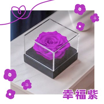 【花花市集】花花市集 情人節送禮 聖誕節交換禮物 生日禮物 FOREVER 永生恆星花 - 幸福紫