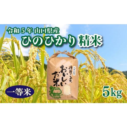 ふるさと納税 山口県 下関市 令和5年 収穫  山口県産ひのひかり 精米 5kg×1箱