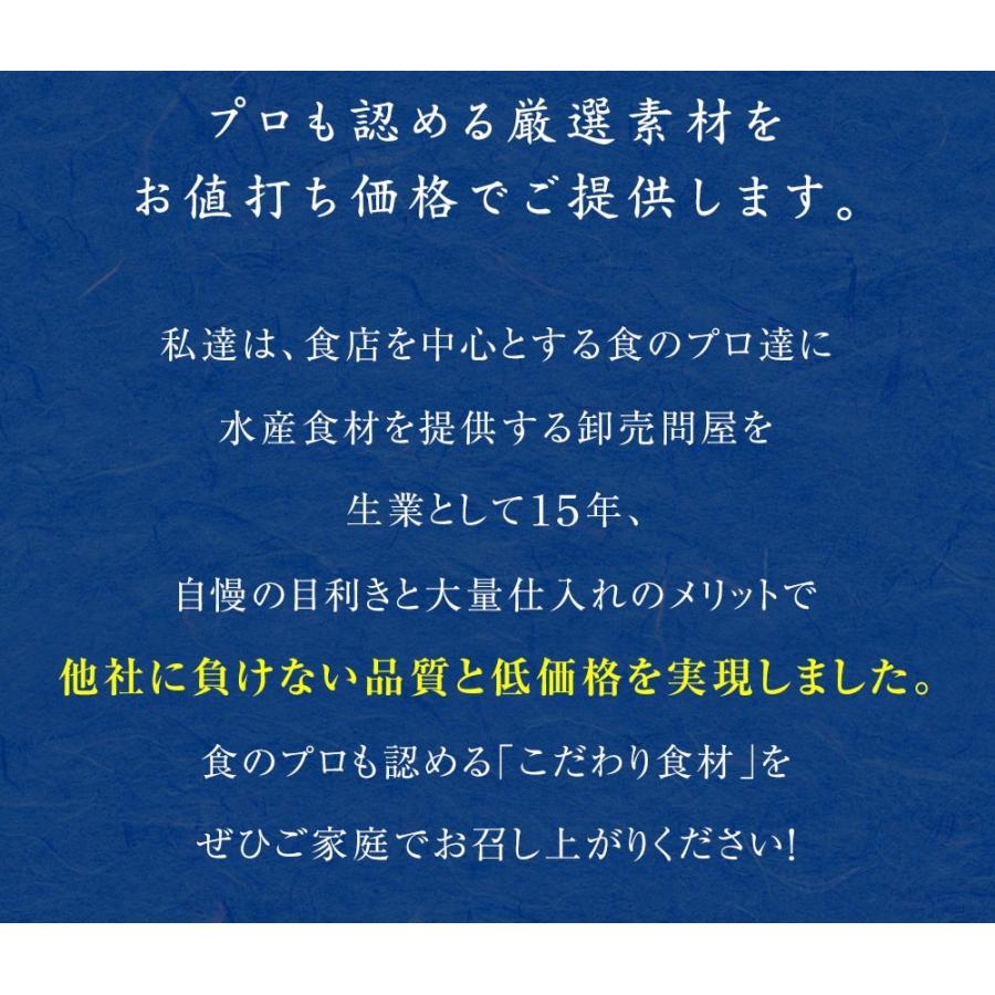 寒ブリ 半身 おろし済み 約1.5kg〜 九州産 お刺身用 冷凍配送 ぶり 鰤 ぶりしゃぶ 照焼き 忘年会 お歳暮 業務用 食品 おかず お弁当