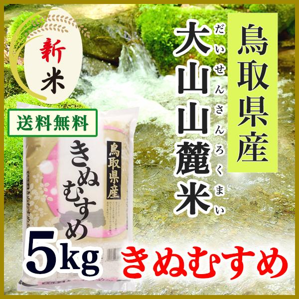 新米 きぬむすめ 5kg 送料込価格遠方 （地域除く）鳥取県産  5年産