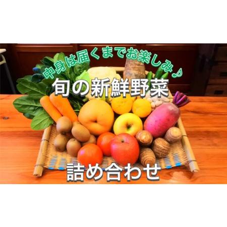 ふるさと納税 No.376 新鮮野菜詰め合わせ100サイズ 群馬県安中市