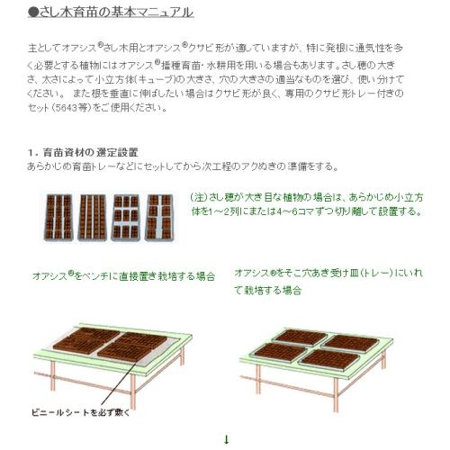 さし木培地 オアシス さし木用 育苗 栽培用品 タ種 P-1.25