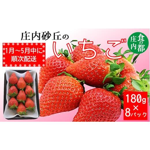 ふるさと納税 山形県 三川町 食の都庄内　庄内砂丘のいちご8パック※2024年1月より発送予定