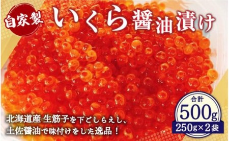 自家製 いくら 醬油漬け 500g