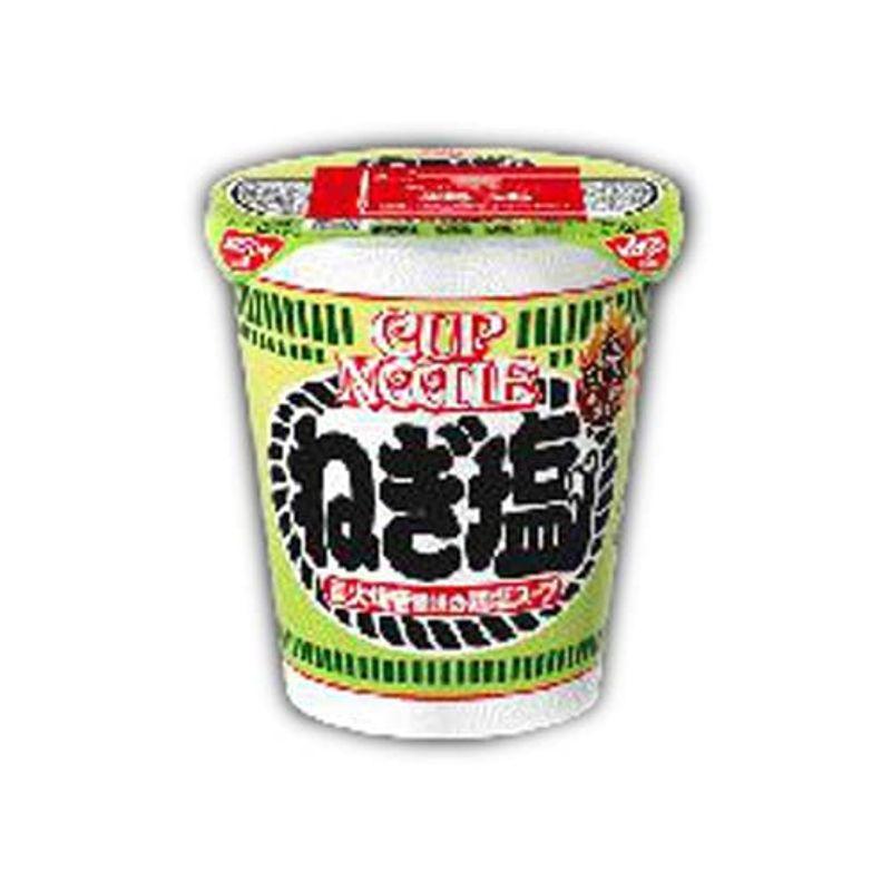 日清食品 カップヌードル ねぎ塩 76g×20個入