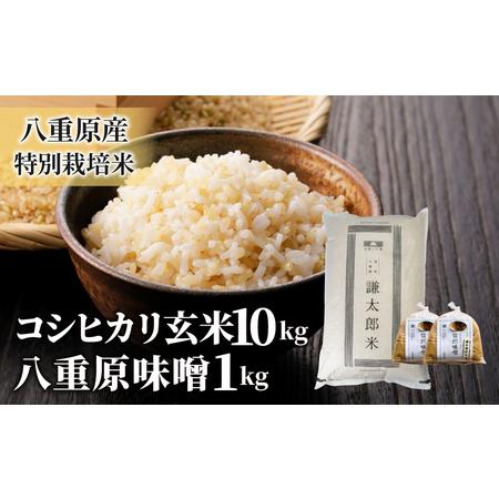 ふるさと納税 八重原産特別栽培米（減農薬・減化学肥料栽培）コシヒカリ（玄米）１０kgと信州味噌「八重原味噌」１kgのセット 長野県東御市