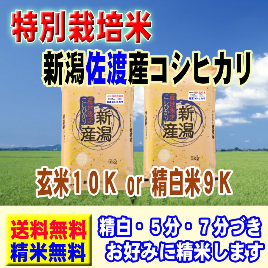 新米 令和5年産 米 お米 10kg (5kg×2袋) 特別栽培米 新潟県産 佐渡コシヒカリ 玄米 白米 7分づき 5分づき 3分づき 出荷日精米 送料無料