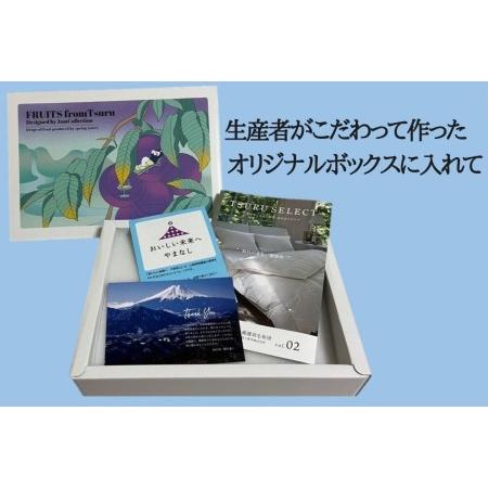 ふるさと納税 山梨県都留市産 朝採れ シャインマスカット ２~3房（約1.0kg） 山梨県都留市