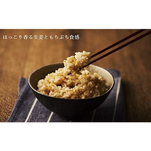  生姜プラス もち麦 ごはん 160g ×18個