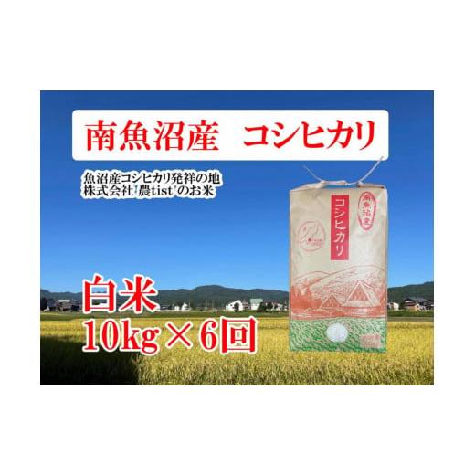 ふるさと納税 新潟県 南魚沼市  コシヒカリ 白米10kg×6回