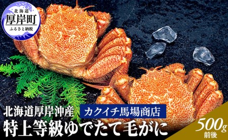 先行予約 蟹屋厳選　北海道 厚岸沖産　特上等級 ゆでたて 毛がに (500g前後×2尾 蟹