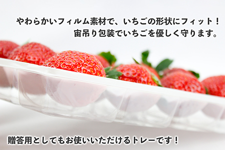 いちごやす農園　完熟・朝採りいちご400g×2箱（2品種以上／冷蔵）