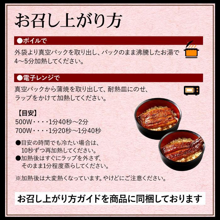 国産うなぎ蒲焼 うなっ娘ハーフカット 12枚セット うなぎ 鰻 ウナギ 国産 グルメ お礼 誕生日 内祝い ギフト