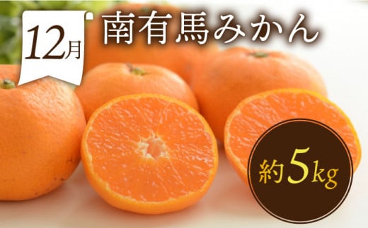 果物屋が選ぶ旬のフルーツ定期便 ハウスびわ メロン ぶどう (巨峰) みかん など   南島原市   贅沢宝庫 [SDZ022]