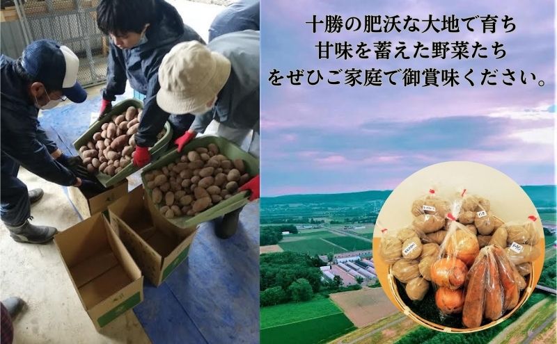 北海道十勝幕別町のこだわり秋野菜　小セット