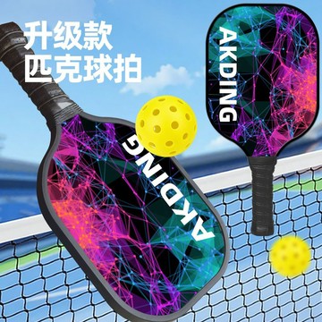 匹克球拍 成人匹克球拍Pickleball戶外訓練運動兒童板羽球大學生版體育套裝