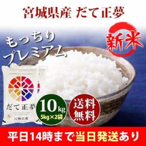 新米 米 10kg 宮城県産 だて正夢 5kg×2袋 令和5年産 お米 10kg 送料無料 北海道・沖縄配送不可 即日発送 クーポン対象 10キロ 安い