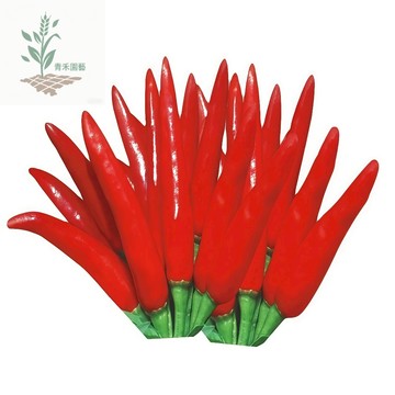 青禾園藝（朝天椒種子）大紅辣椒種子LJ-1 中辣大果菜 簡單種植好管理高產早熟農家果菜類蔬菜種子菜園庭院#台灣自留種