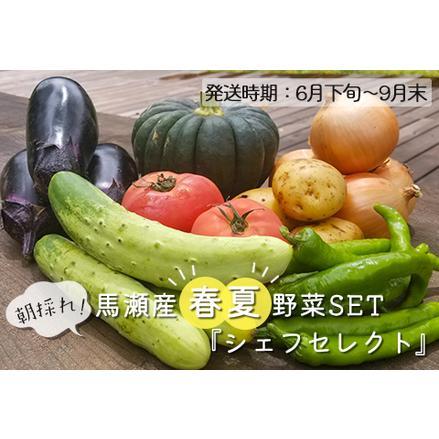 ふるさと納税 朝採れ!! 春夏野菜SET 『シェフセレクト』（発送時期:6月下旬から9月末まで） 春夏収穫 旬野菜 詰合.. 岐阜県下呂市