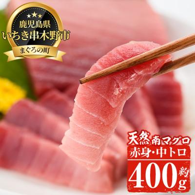 ふるさと納税 いちき串木野市 南マグロ味わいセット