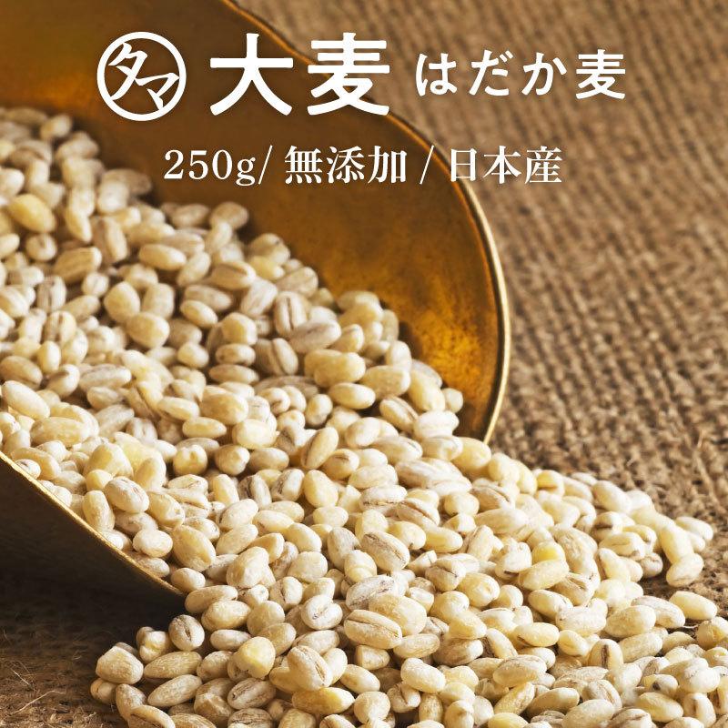 大麦 はだか麦 250g 雑穀 ダイエット 国産 食物繊維 送料無料