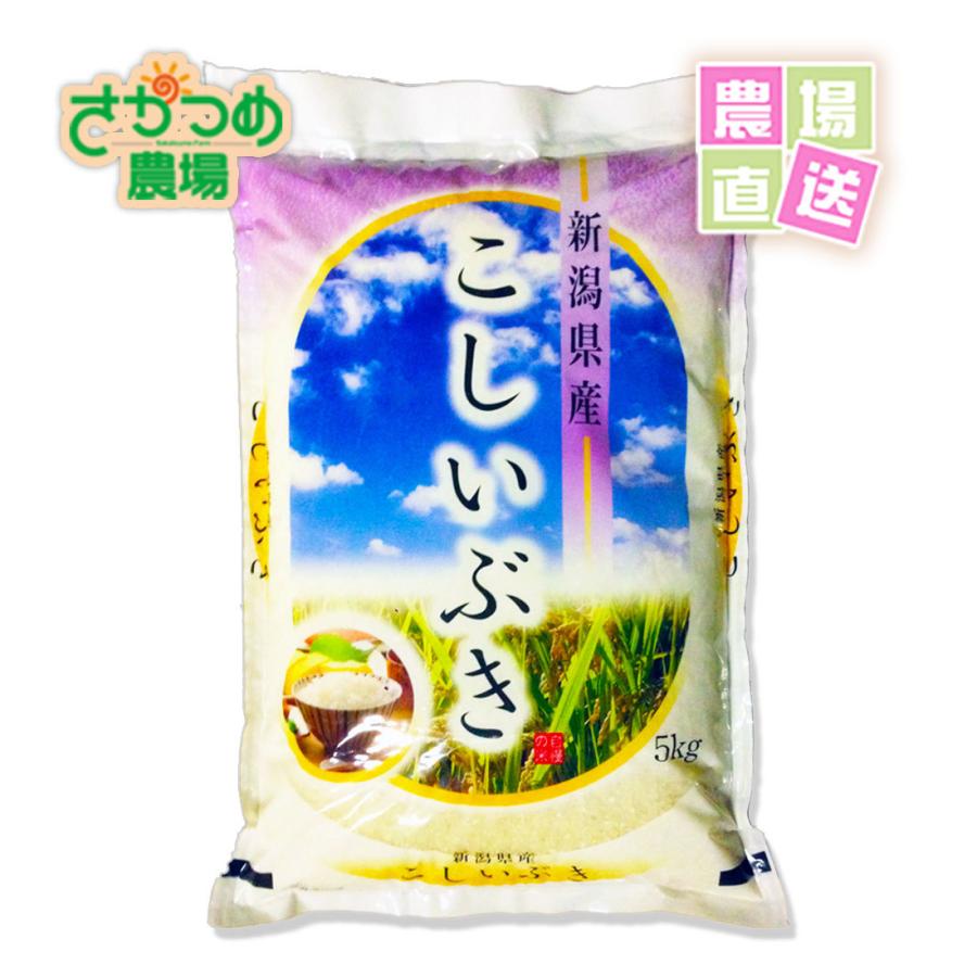 お米　こしいぶき　5kg　令和5年　新潟産　白米　産地直送