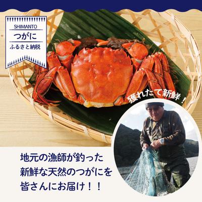 ふるさと納税 四万十市 高級天然食材!四万十川の天然ツガニ 約1.5kg(8〜12匹) R5