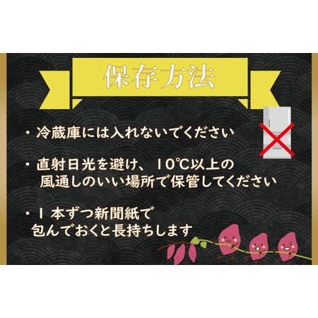 ふるさと納税 CU-55  無選別 行方台地のさつまいも 紅はるか10kg 茨城県行方市