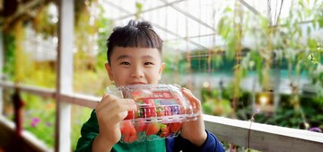 農遊超市 - 台北 | 莓圃休閒農園-莓好醬煮-食農好玩單人體驗券