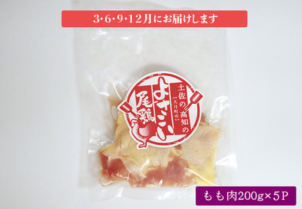 よさこい尾鶏 もも肉(200g×5パック)計4回