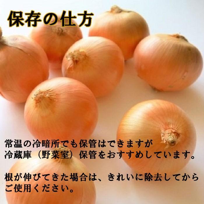 北海道産 たまねぎ Ｌサイズ 10kg ＆ じゃがいも（メークイン）Lサイズ 10kg （合計20kg）