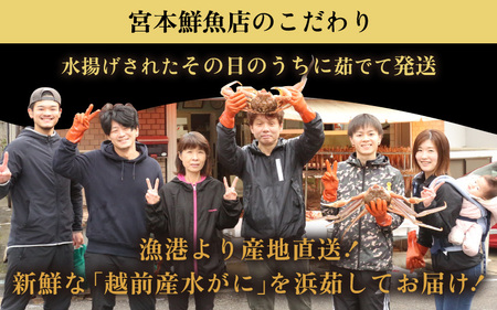 ≪浜茹で≫越前産水がに 中サイズ6肩（足のみ 2肩あたり生で300～400g）合計900g以上 産地直送！希望日指定可 備考欄にメールアドレスをご記入ください [e43-x008]