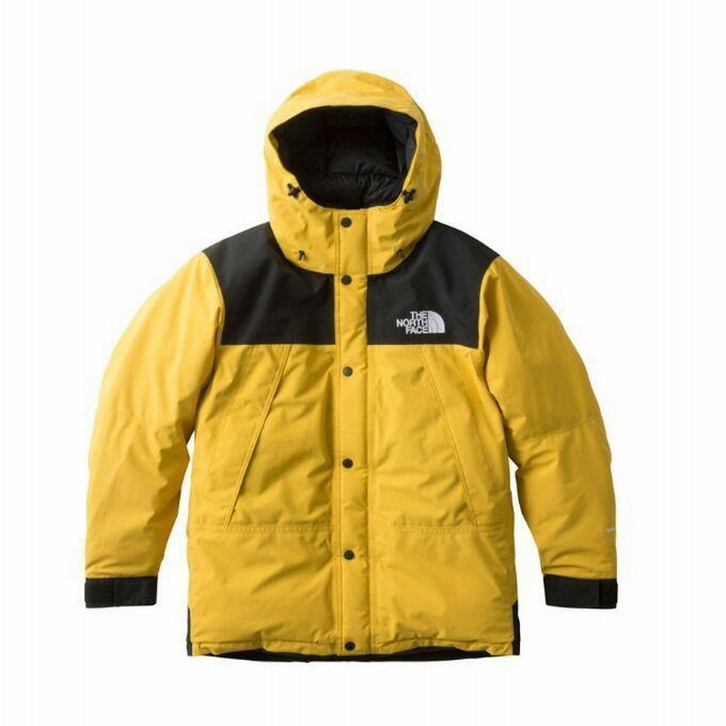 The north face mountain store down jacket nd91837