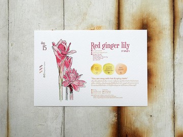 在地花卉明信片 - 第15天 辛辣熱情