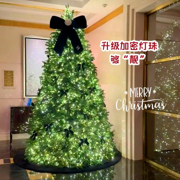 聖誕節用品 免運 開發票 交換禮物 圣誕節裝飾品發光圣誕樹燈串掛飾diy銅線燈花環綠植場景布置道具 快速出貨