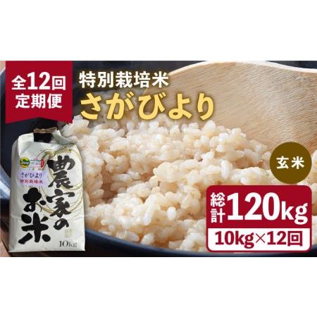 ふるさと納税 特別栽培米 さがびより 玄米 10kg特A米 特A評価[HAG021] 佐賀県江北町