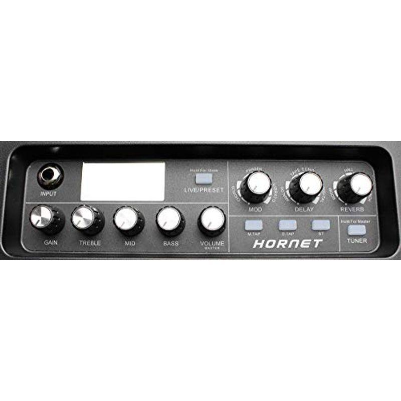 MOOER Hornet Black ギターコンボアンプ ムーア