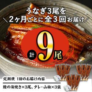 ふるさと納税 2ヵ月に1回お届け！くすだ屋の極上うなぎ(160g×3尾)×3回＜計9尾・1440g以上＞ t007-007 鹿児島県志布志市