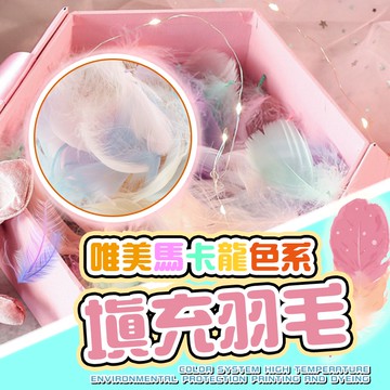 台灣現貨 夢幻唯美 馬卡龍羽毛 裝飾羽毛 羽毛禮盒填充物 夢幻唯美拍攝道具拍照道具居家裝飾花束花環裝飾