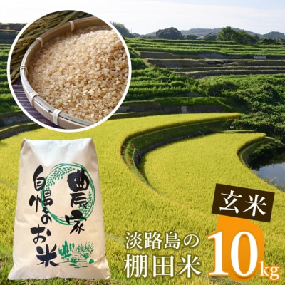 《玄米》淡路島の棚田米 10kg