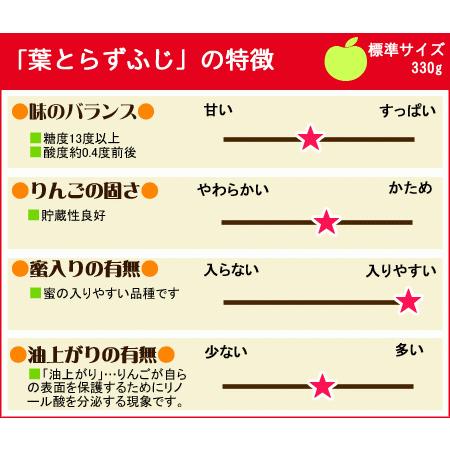 葉っぱの影は甘さのサイン家庭用(26-46玉)青森 送料無料 [※産地直送のため同梱不可]「GOLD」