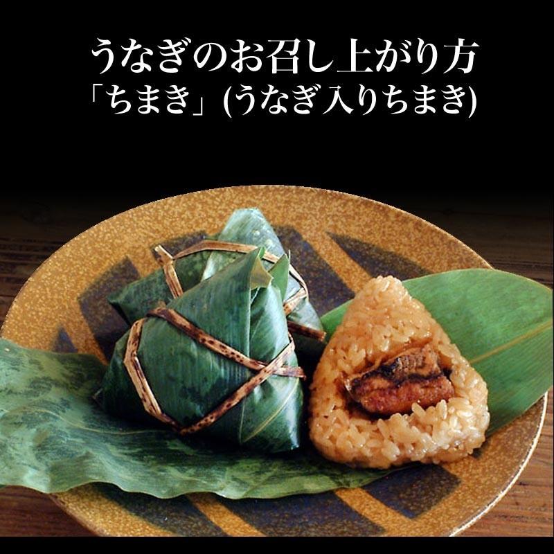 ギフト うなぎ 蒲焼き 国産 鰻 うなぎ蒲焼き 九州産 3尾 特大(約180〜200g前後×3尾)宮崎・鹿児島県産 送料無料