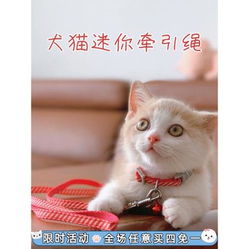 狗狗幼貓咪幼犬牽引繩套脖鈴鐺牽引繩小型玩具茶杯犬迷你遛狗貓繩