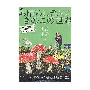 映画チラシ／ 素晴らしき、きのこの世界