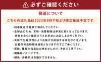  ぶどう 3種 詰め合わせ 合計約2kg 5～6房 巨峰 イタリア 安芸クイーン