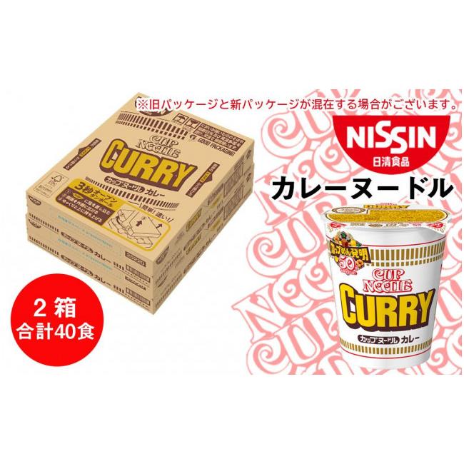 ふるさと納税 北海道 千歳市 日清★カレーヌードル★ 2箱・合計40食