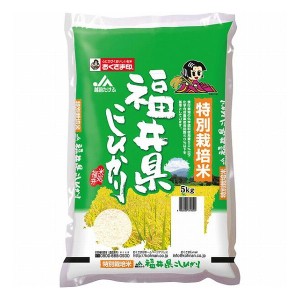 特別栽培米福井県産こしひかり kg 4986869344058 食料品 米 米(代引不可)