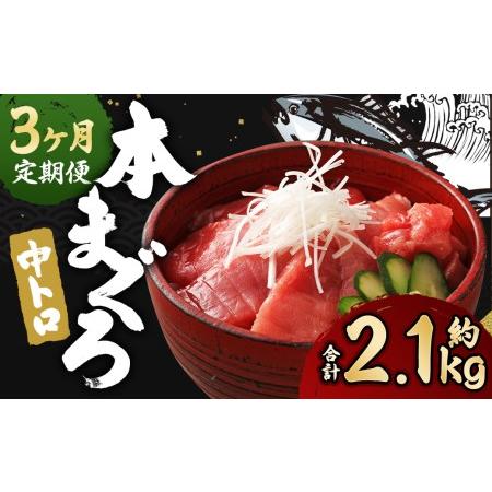 ふるさと納税 長崎県産 本マグロ「中トロ」約700g  生食用 長崎県時津町