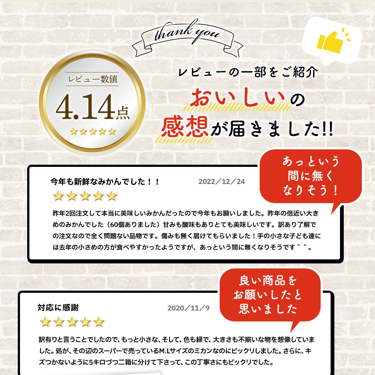 みかん 温州みかん 訳あり 熊本産 10kg 9kg＋1kg補償付き S-3L サイズ不選別 家庭用 完熟 常温便