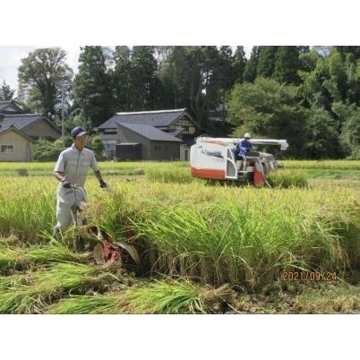 ふるさと納税 中能登町産　特別栽培米春木コシヒカリ（玄米）20kg 石川県中能登町